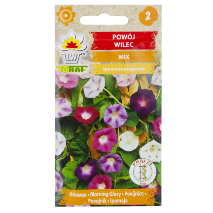 R2757 BAUMWOLLSCHWANZ GEMISCHT 3G BLUMEN SAMEN BAUMWOLLSCHWANZ BLUMEN