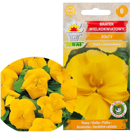 R2788 GROSSBLÜTIGES STIEFMÜTTERCHEN GELBE SAMEN 0,2G BLUMEN