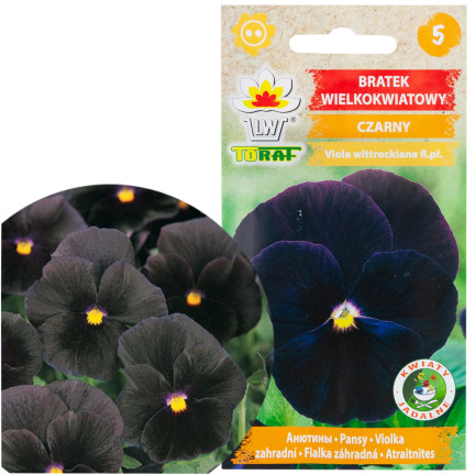 R3358 GROSSBLÜTIGES STIEFMÜTTERCHEN SCHWARZ 0,2G SAMEN BLUMEN TORAF