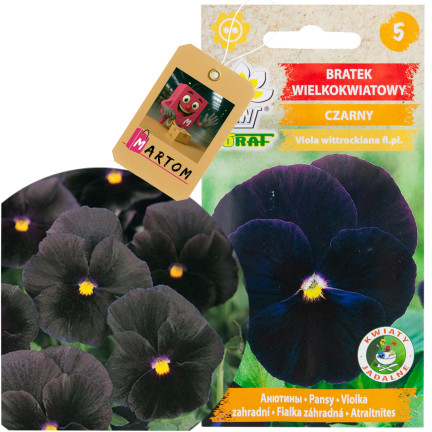 R3358 GROSSBLÜTIGES STIEFMÜTTERCHEN SCHWARZ 0,2G SAMEN BLUMEN TORAF