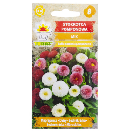 R3907 POM-POM GÄNSEBLÜMCHEN SAMENMISCHUNG 0,1G FARBE BLUMEN