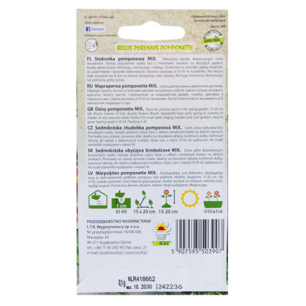R3907 POM-POM GÄNSEBLÜMCHEN SAMENMISCHUNG 0,1G FARBE BLUMEN