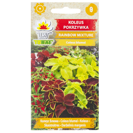 R6663 KOLEUS KOPŘIVA 0,2G KVĚTOVÁ SEMENA DUHOVÁ SMĚS SMĚS