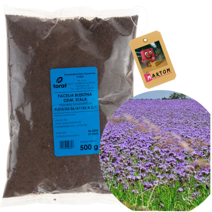 R8803 BLAUE PHACELIA, FESTE SORTE 500G