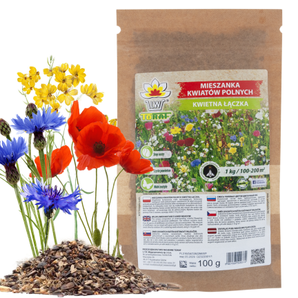 R9374 BLUMENWIESE WIESE FELDBLUMEN KRÄUTER SAMEN SCHNELL BLÜHEND 100G