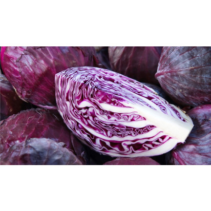 W1086 KOHLSAMEN KOPF ROTMARDER MITTELFRÜH FÜR SALATE
