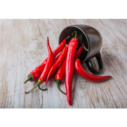 W1137 DE CAYENNE HOT CHILLI PFEFFERSAMEN PIKANT 0,5G