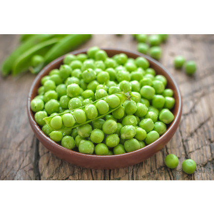 W0746 SCHALERBSE SECHS WOCHEN ALTES SAATGUT 50G SCHNELLE ERNTE