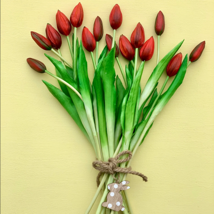 CV07588-10 JEDNODUCHÝ POGUMOVANÝ TULIPÁN ČERVENÝ JAKO ŽIVÝ