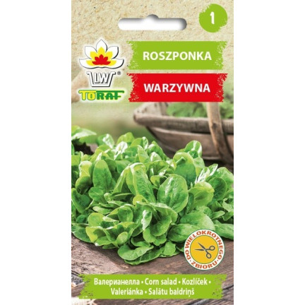 W1186 POLNÍČEK ZELENINOVÉ SEMÍNKO SALÁT BOHATÝ NA VITAMÍNY 1G