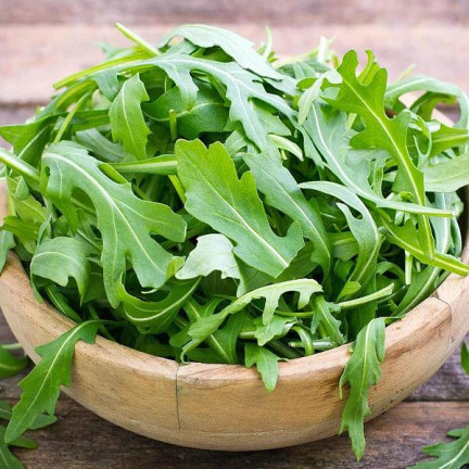 W1188 RUKOLA DZIKA WIELOLETNIA NASIONA SOCZYSTE PIKANTNE LIŚCIE SAŁATEK KANAPKĘ 1G