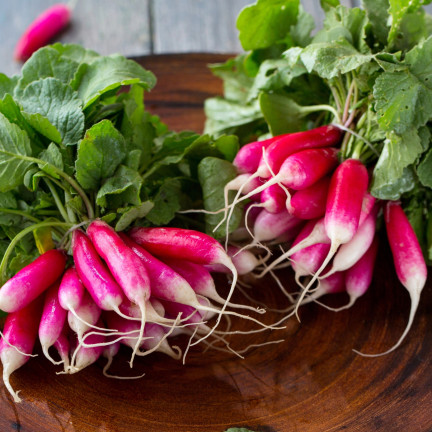 W1296 18 TAGE FRÜH WACHSENDE GEMÜSESAMEN 5G