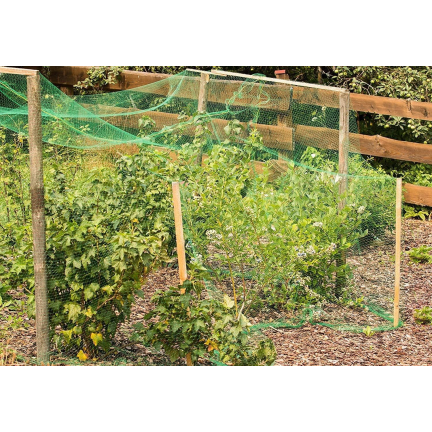 TG70196 Bird Netting, 4x10m