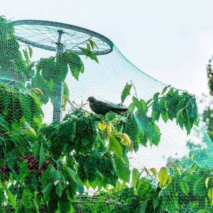TG70196 Bird Netting, 4x10m