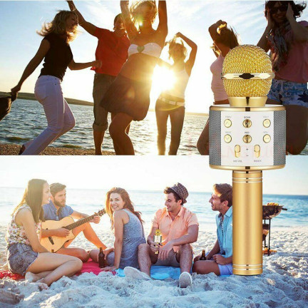 TG67276 KABELLOSES KARAOKE-MIKROFON BLUETOOTH LAUTSPRECHER