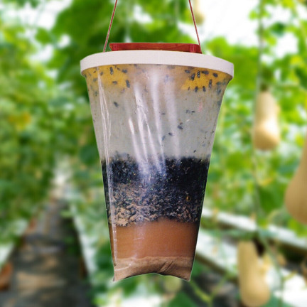 TG71406 Insect Trap: Fly and Wasp Catcher with Attractant, Hanging Bag