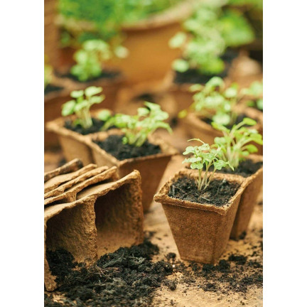 TG67368 Torf Pflanzentöpfe für Setzlinge 10 Schalen 120 Stück