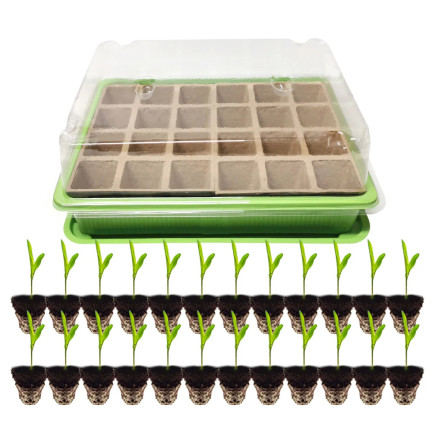 TG71428 MINI GLARNIA INSPEKT rašelinové květináče GROWER DISTRIBUTION 24 přihrádek + zásobník