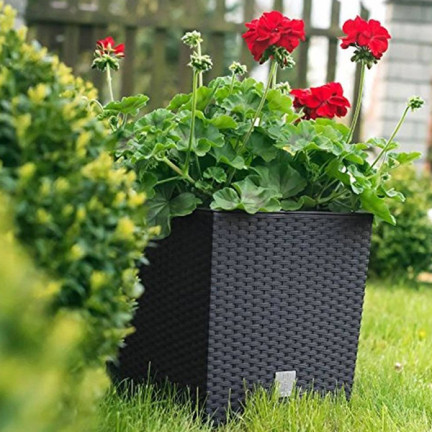 DRTS325L-S433 BLUMENTOPF RATO NIEDRIG GROSS QUADRATISCH RATTAN MIT EINSATZ
