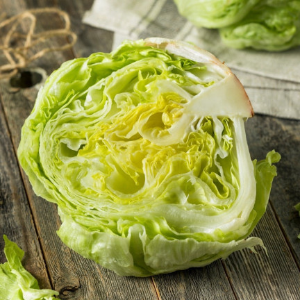 W1212 KNACKIGER EISBERGSALAT KÖNIGIN DES SOMMERS FRÜHGEMÜSESALAT SAMEN 1G