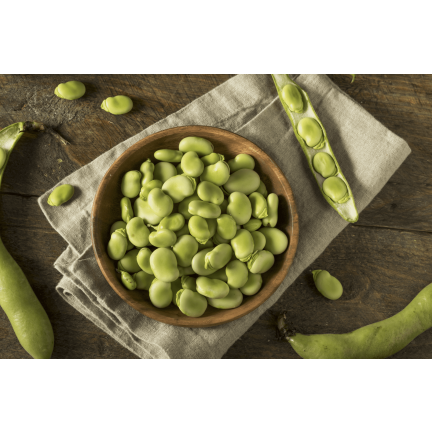 W1006 SEMENA WINDSORSKÝ BÍLÝ BOB STŘEDNĚ RANÝ VELMI PLODNÝ 50G