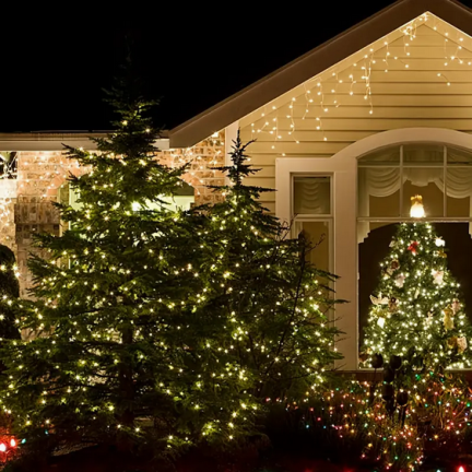 TG73524-2 GRÜNER DRAHT WEIHNACHTSBAUM LICHTER 40LED WARMES LICHT BATTERIEBETRIEBEN