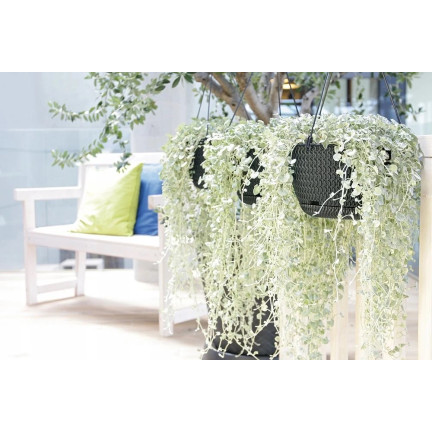 DSPW230-S433 23 cm round anthracite rattan hanging planter with hook, 3 L