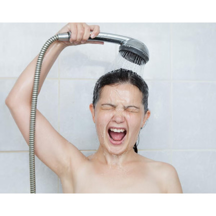 TG64637 DUSCHE HANDBRAUSE CHROM HANDBRAUSE