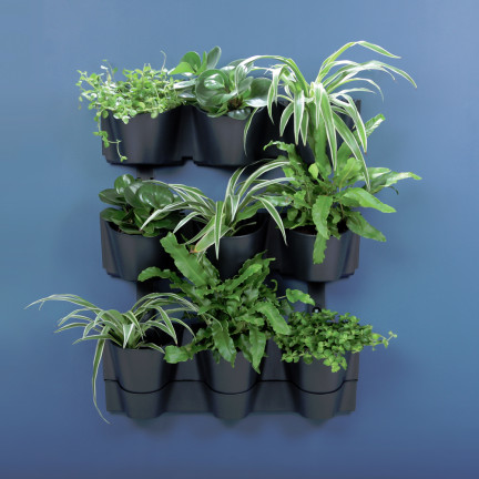 IO2W600W-S433 VERTIKALER GARTEN HÄNGENDE KASKADE KASKADE MODULARE BLUMENWAND