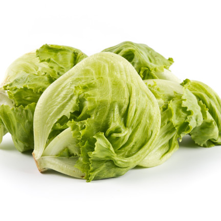 W1212 KNACKIGER EISBERGSALAT KÖNIGIN DES SOMMERS FRÜHGEMÜSESALAT SAMEN 1G