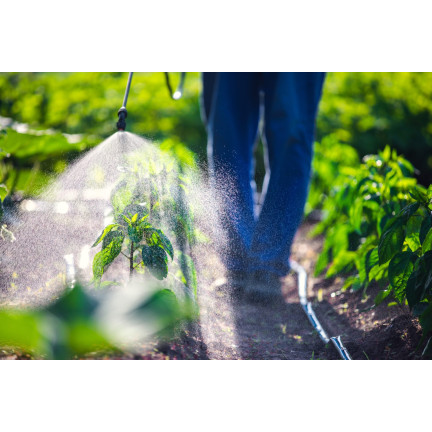 SUM41 Help Plant MG Hořčík na choroby rostlin 20 g Sumin