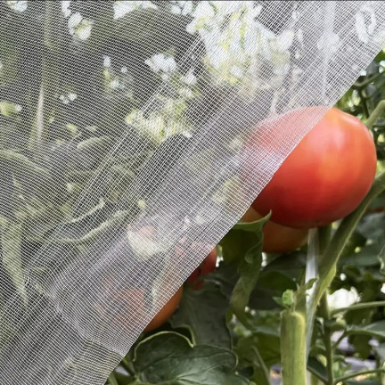 TG71987 INSEKTENSCHUTZNETZ FÜR BETTEN 2,5X50M 60 MESH
