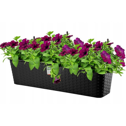 ISR600P-S433 Balcony Planter, Rattan Flower Pot, 59 cm, Anthracite, 10 L Base