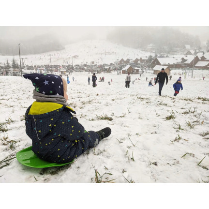 ISF-361C FREE Kunststoffrutsche zum Rutschen auf Schnee GRÜN