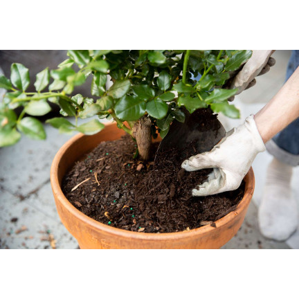 Zemina pro růže, médium pro přesazování květin, specializované, s perlitem, Biovita 20l