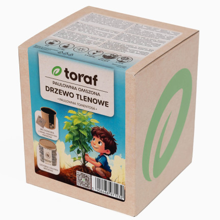 D1232 TORAF MOOSIGE PAULOWNIA SAUERSTOFFBAUM KIT MIT TOPF