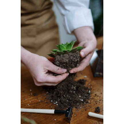 BIO15 BIO-UNIVERSALERDE FÜR BLUMEN PFLANZEN 10L MIT DÜNGER