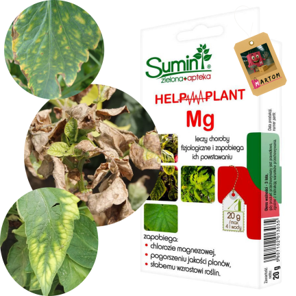 SUM41 Help Plant Mg Magnesium for Plant Diseases, Treatment for Magnesium Deficiency, 20 g