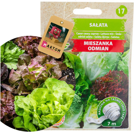 T3839 PÁSKA S ODRŮDOU SALÁTOVÉ SMĚSI 7M