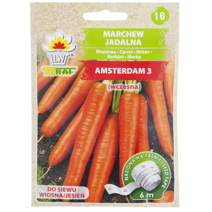 T8003 KAROTTEN AMSTERDAM 3 AUF BAND FRÜHE KAROTTENSAMEN BAND KAROTTENSAMEN 6M