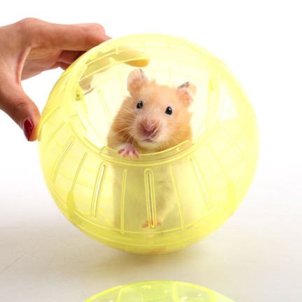 TG64360 HAMSTERBALL NAGETIER LAUFSPIELZEUG