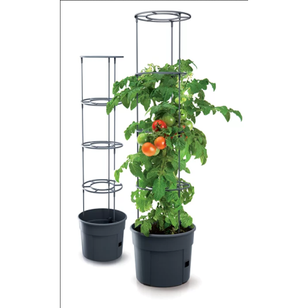 IPOM300-S433 TOMATENZÜCHTER-TOPF TOMATENZÜCHTER-TOPF