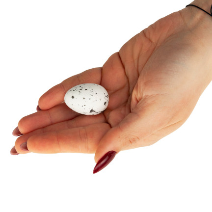 TG70481-1 Velikonoční vajíčka, křepelčí kropenatá vajíčka, dekorace do košíku, 36SZT/KPL