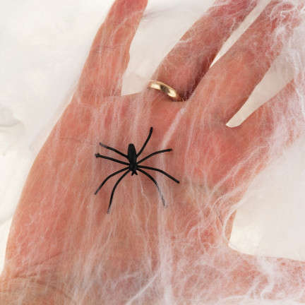 TG38901 PAJAKY SE SÍTÍ PAJAKŮ PRO HALLOWEEN PAJAKY 2ks