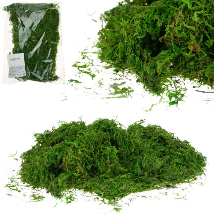TG39917 KUNSTMOOS 30G LOSE DEKORATIV FÜR SCHILF