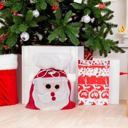 TG53593 MICHAEL'S BAG 30x25 GIFT BAG LARGE RED PRESENT PACKAGING PACK