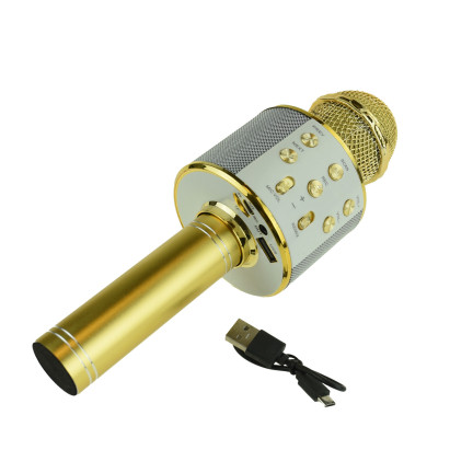 TG67276 KABELLOSES KARAOKE-MIKROFON BLUETOOTH LAUTSPRECHER