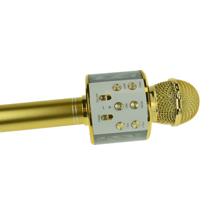 TG67276 KABELLOSES KARAOKE-MIKROFON BLUETOOTH LAUTSPRECHER