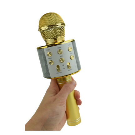 TG67276 KABELLOSES KARAOKE-MIKROFON BLUETOOTH LAUTSPRECHER