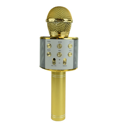 TG67276 KABELLOSES KARAOKE-MIKROFON BLUETOOTH LAUTSPRECHER